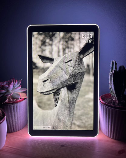 LED Edge Digital Photo Frame - 10.1 Inch Display
